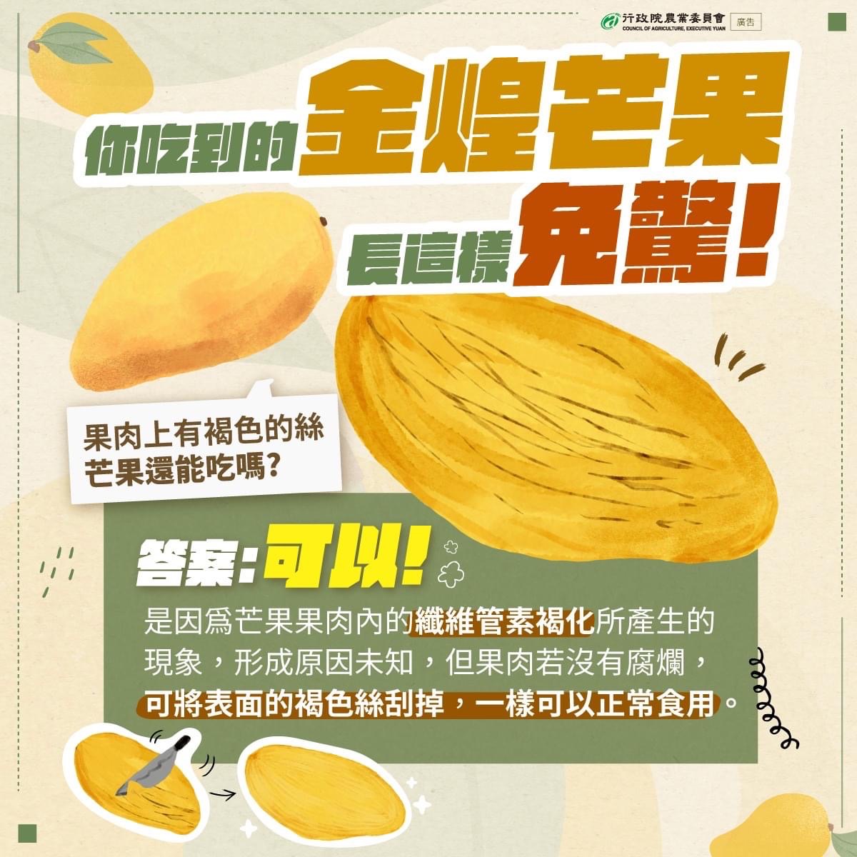 金黄マンゴーはこのように成長して食べられるのでしょうか？